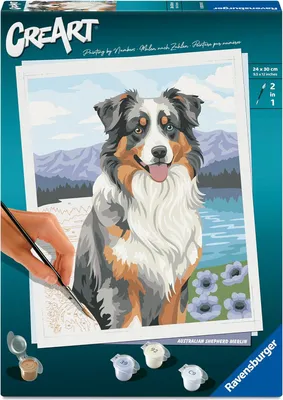 Immagine prodotto di Ravensburger 12023114 CreArt Pastore australiano Merlin