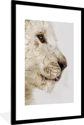 Produktbild von MuchoWow® Gerahmtes Poster Profil - Löwe - Weiß 60x90 cm - Poster mit Schwarzem Bilderrahmen Wandposter Rahmen Foto Bilder - Dekoration - Wandposter Wohnzimmer - Hochwertig