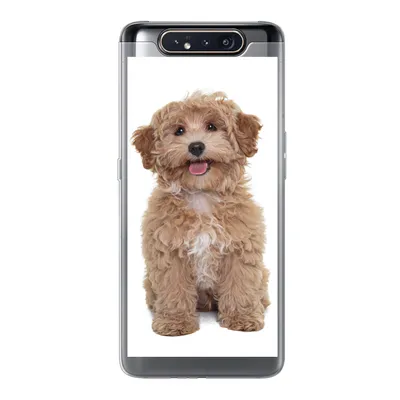 Produktbild von MuchoWow® Handyhülle Schutzhülle Hülle für Samsung Galaxy A80 Hund - Haustiere - Fell Silikon Softcase Handy Hülle - Schutzdeckel