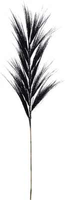 Produktbild von Dekoartikel Naturmaterial schwarz 118x50x2 cm