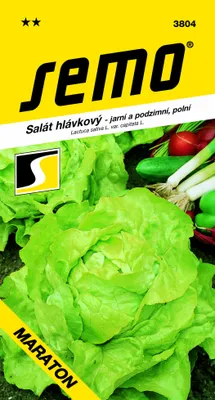 Produktbild von Samen - KOPFSALAT ´MARATON´