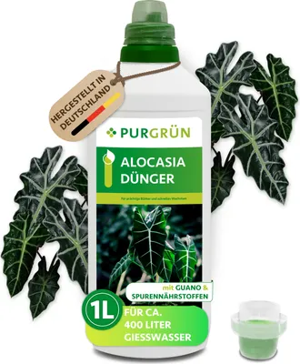 Produktbild von Purgrün Alocasia-Dünger | Flüssigdünger für Alocasien | 1L