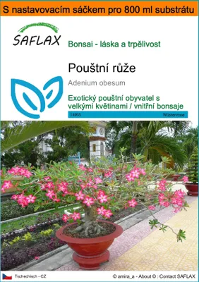 Obrázek produktu pro SAFLAX Garden in the bag - pouštní růže - Adenium obesum - 8 Semena - S pěstebním substrátem v praktickém samovztyčovacím sáčku