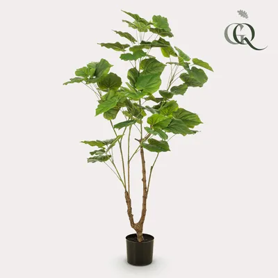 Image de Green boutiQ - Plante artificielle - Ficus umbellate - Afrikaanse vijg - 125cm - Vert - Sans entretien - Haute qualité