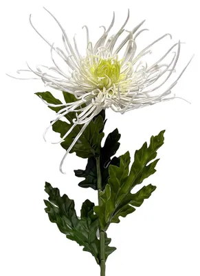 Productafbeelding van Clayre & Eef Kunstblume, wit
