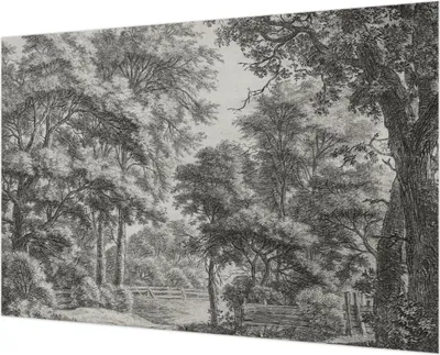 Produktbild von Wandtapete - Dekorative Tapete für Wohnzimmer - Tapetenfolie für Wanddekoration - 152x104 cm - Waldlandschaft