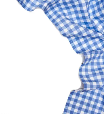 Image de Tissu au mètre à carreaux paysans, coton 10 mm - carreaux bleus et blancs - largeur:130 cm