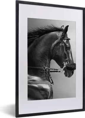 Produktbild von MuchoWow® Gerahmtes Poster Pferde - Schwarz - Porträt - Tiere 40x60 cm - Poster mit Schwarzem Bilderrahmen Wandposter Rahmen Foto Bilder - Poster in Rahmen