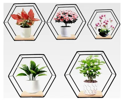 Produktbild von Hexagon Wandregal Schwarz Metall 5er Set, Hängeregal für Wanddekoration in Wohnzimmer, Schlafzimmer, Bad, Café und Hotel