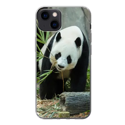 Produktbild von MuchoWow® Handyhülle Schutzhülle Hülle für iPhone 13 Panda - Baumstamm - Höhle Silikon Softcase Handy Hülle - Karteninhaber