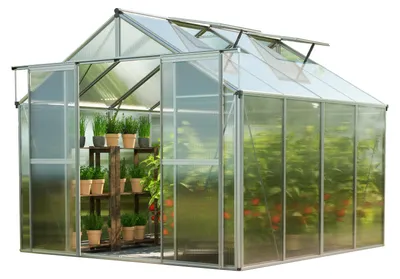 Image de GFP Serre Topas 4 cadre aluminium 225x259 cm Plaques double paroi 6 mm indéformables & résistantes aux intempéries