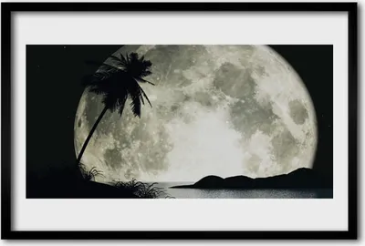 Produktbild von Bild 60x40 MDF-Rahmen Wandkunst Nachtmond Landschaft Palm