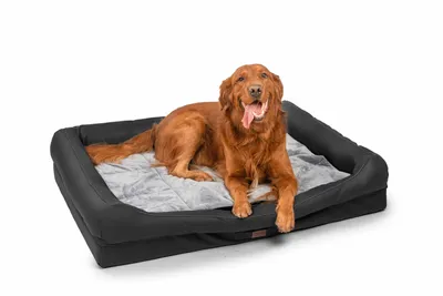 Produktbild von Hundebett orthopädisch waschbar rutschfest große Hunde, Schlafplatz Hundesofa Tierbedarf, Schwarz, 120x90x10cm