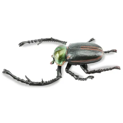 Produktbild von Toymany ML00431 Langarm-Skarabäus 10,3 cm Reptilienreich