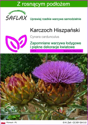 Zdjęcie produktu dla SAFLAX - Karczoch Hiszpański - 50 Nasiona - Z podłożem uprawowym wolnym od zarazków - Cynara cardunculus