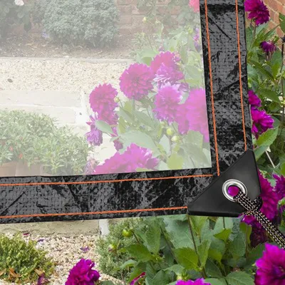 Immagine prodotto di Vigevee, 2 teli trasparenti piatti con occhielli, telo di copertura impermeabile in PE, resistente alle intemperie e ai raggi UV, ideale per giardino, balcone, terrazza, serra e gazebo, dimensioni 3 x 3 metri