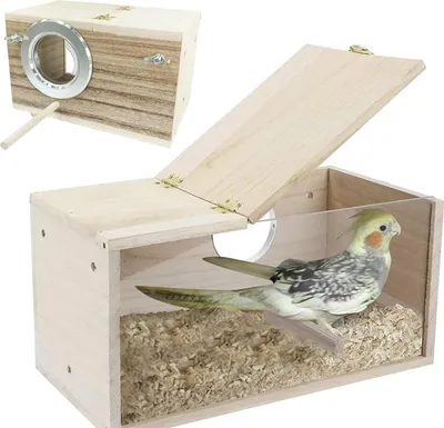 Produktbild von Holz-Vogelhaus für Garten, transparentes Design, ideal für Wellensittiche, wetterfest & dekorativ