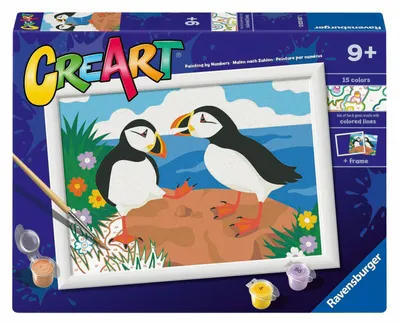 Image de Ravensburger CreArt Schilderen op Nummer - Papegaai Duikers