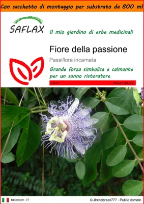 Immagine prodotto di SAFLAX Garden in the bag - Fiore della passione - 5 semi - Passiflora