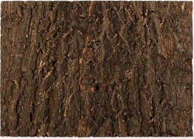 Image de Fond en liège naturel 58,5 x 41 x 2 cm 1 pièce