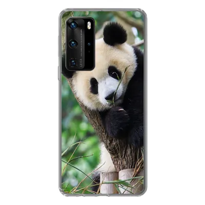 Produktbild von MuchoWow® Handyhülle Schutzhülle Hülle für Huawei P40 Pro Panda - Tiere - Dschungel - Natur Silikon Softcase Handy Hülle - Schutz