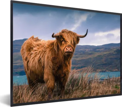 Produktbild von MuchoWow® Gerahmtes Poster Schottischer Highlander - Berg - Wasser - Natur - Kuh 40x30 cm - Poster mit Schwarzem Bilderrahmen Wandposter Rahmen Foto Bilder - Kunstposter - Wanddekorationen