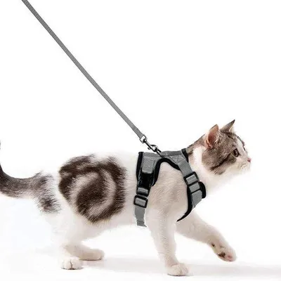 Image de Harnais pour chats Ibenzoa® – harnais en nylon sûr et réglable, avec des bandes réfléchissantes, des sangles souples et une fermeture en plastique durable