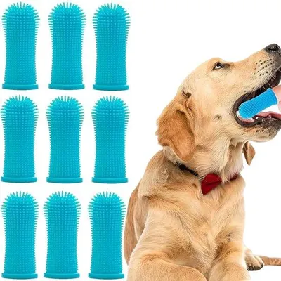 Image de Kit de nettoyage dentaire en silicone pour chiens et chats
