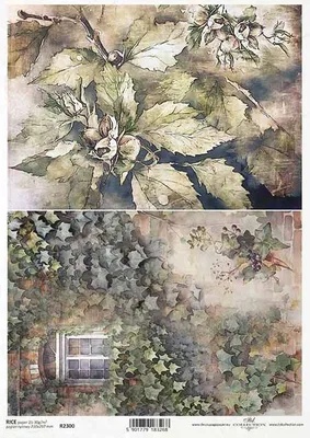 Immagine prodotto di ITD carta di riso decoupage tecnica artigianale tovagliolo di carta R2300 piante, edera, finestra, autunno