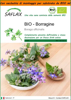 Immagine prodotto di SAFLAX Garden in the bag -- Borragine  - 40 semi - Borago