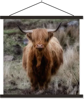 Produktbild von MuchoWow® Textilposter Schottisches Hochlandrind - Moos - Gras 120x120 cm mit schwarzem Rahmen - Aufhängungsset