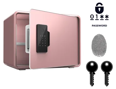 Produktbild von Panzer-Tresor Biometrischer Möbeltresor mit Fingerabdruckscanner 25x35x26 cm Pink