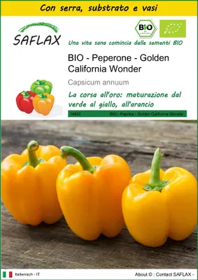 Immagine prodotto di SAFLAX Insieme di coltivazione -- Peperone - Golden California Wonder - 20 semi - Capsicum