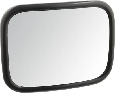 Produktbild von FEBI BILSTEIN Weitwinkelspiegel 49995 beidseitig für VOLVO B 9 55mm 214mm 164mm manuell 0,520kg