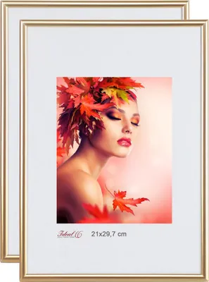 Produktbild von 2er 3er 5er Pack Bilderrahmen Kunststoff Lifestyle Foto Rahmen Collage KYOTO - Farbe: 2er Pack Gold | Format: 21x29.7