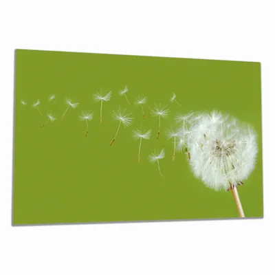 Produktbild von Wallario Herdabdeckplatte aus Glas, Größe 90 x 52 cm 1-teilig, Motiv Pusteblume auf der Wiese mit fliegenden Samen
