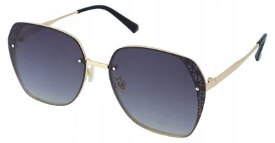 Image de PolarZONE 897-3 Lunettes de Soleil Polarisantes avec Étui