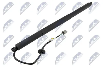 Produktbild von NTY AE-CH-048 Gasfeder Heckklappendämpfer für TESLA Model S (5YJS)