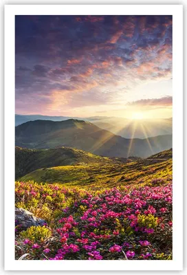 Produktbild von Poster - Poster ohne Rahmen - Gebirge Wiese Landschaft Wald - 61x91,5 cm - Wand Bild - Wanddeko - Wandbilder - Kunstposter - Wandposter - Bilder - Kunstdruck - Wandbild - P2XPA61x91-3152
