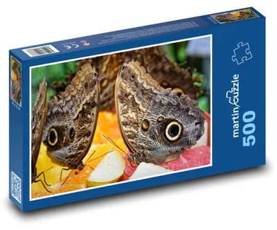 Produktbild von Puzzle 500 Bananenfalter auf Obst - martinpuzzle