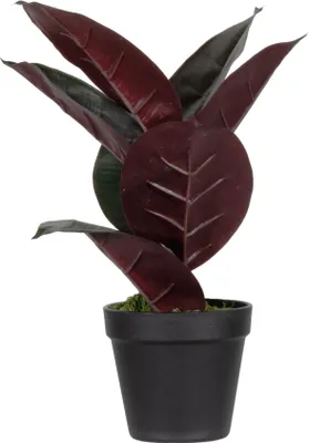 Zdjęcie produktu dla Sztuczna roślina Paperflow PAFICE36 drzewo kauczukowe 36cm