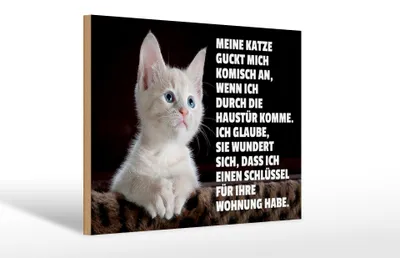 Produktbild von Holzschild Spruch 30x20cm Katze guckt mich komisch an