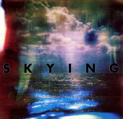 Produktbild von The Horrors - Skying (2 LP)