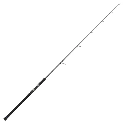 Produktbild von Westin W2 Jigging 183cm H Max. 250g - Meeresrute