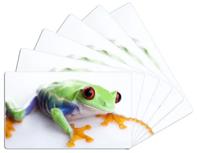 Produktbild von Wallario Frühstücksbrettchen 6er Set aus Glas, je 14 x 23 cm, mit rutschfesten Füßen, Motiv Lustiger Frosch in grün und orange