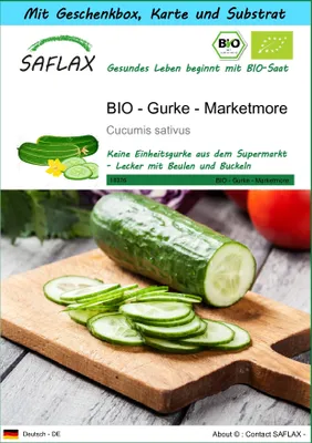 Produktbild von SAFLAX - Geschenk Set - BIO - Gurke - Marketmore - 20 Samen - Mit Geschenk- / Versandbox, Versandaufkleber, Geschenkkarte und Anzuchtsubstrat - Cucumis sativus