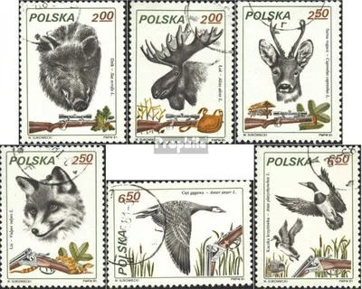 Produktbild von Briefmarken Polen 1981 Mi 2746-2751 (kompl.Ausgabe) gestempelt Jagdwesen