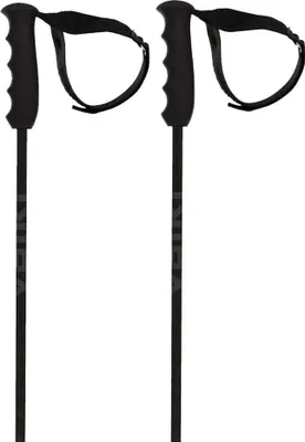 Produktbild von Volkl Speedstick Stöcke Silber 125 cm Silber 125 cm