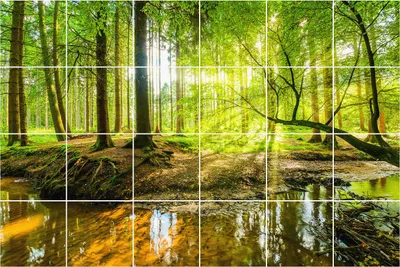 Produktbild von Fliesenaufkleber 15x15 cm – 24 Stück – Selbstklebend – Wasserfest – Pflegeleicht – Hitzebeständig – Für Küche & Bad – Waldlandschaft mit Bachlauf