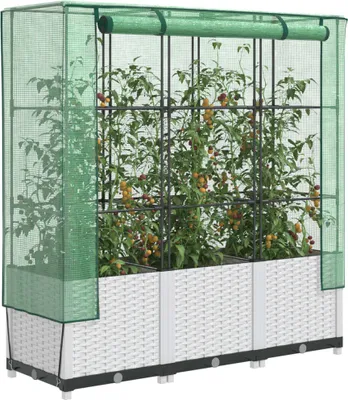 A raised garden bed with a greenhouse cover, containing tomato plants.